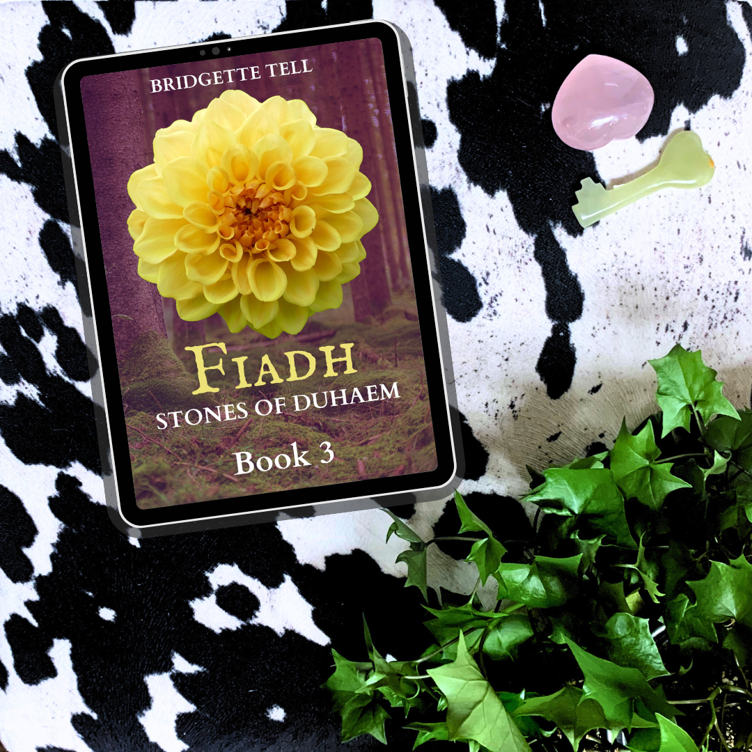 Fiadh, (Stones of Duhaem 3), Ebook