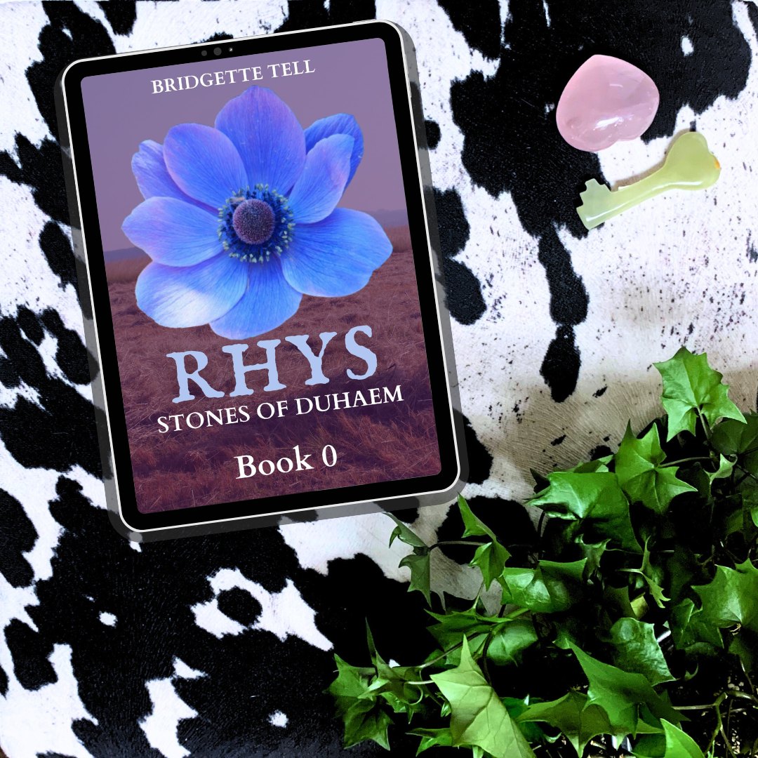 Rhys (Stones of Duhaem 0), Ebook