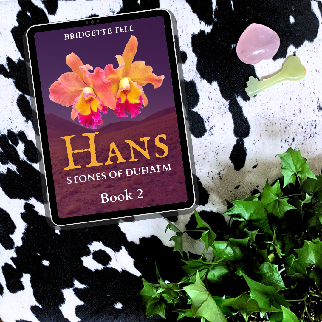 Hans, (Stones of Duhaem 2), Ebook