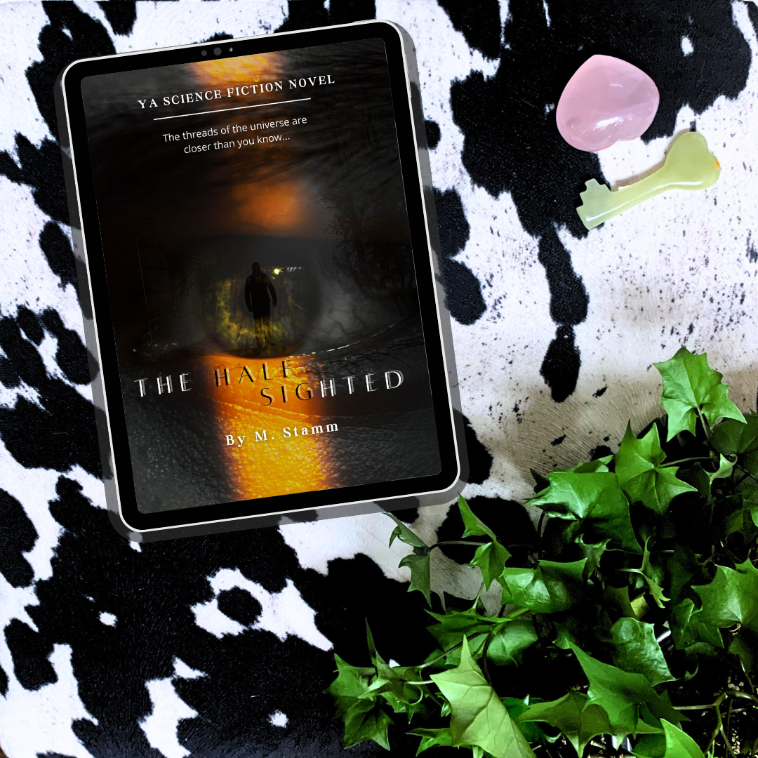 The Half-Sighted (Mirror Universe 1), Ebook