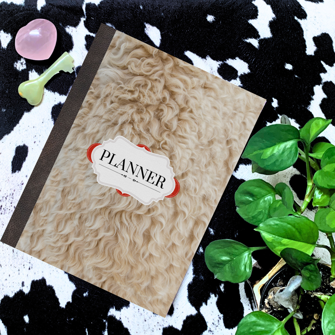 MoSt Simple Monthly Weekly Planner with Notes, 5 years, Paperback