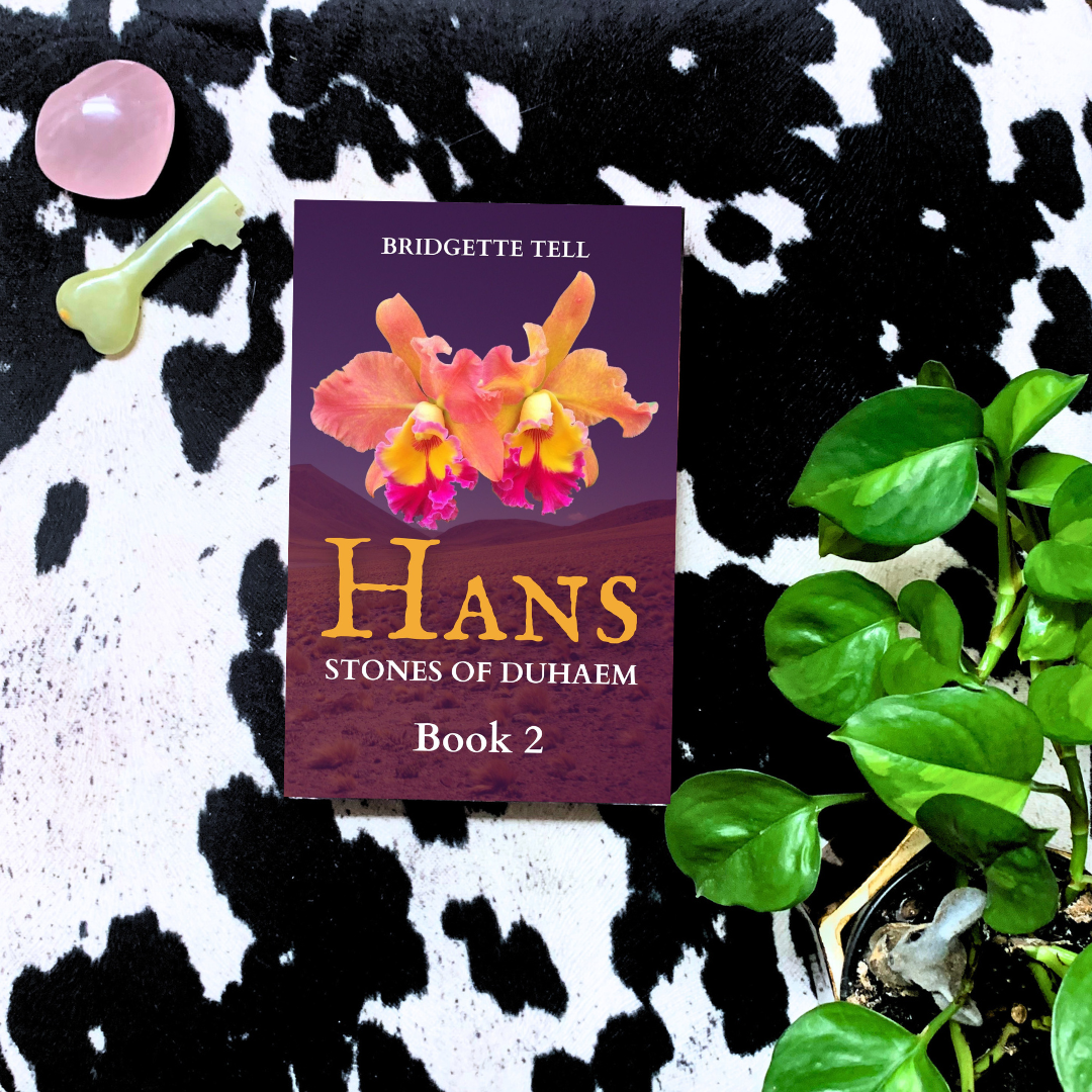 Hans, (Stones of Duhaem 2), Paperback